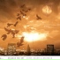 Unleash The Sky