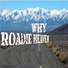 Roadie Heaven