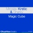 Miroslav Krstic, Sharky