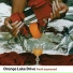 Orange Lake Drive