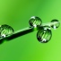 Spa Zen, Yoga Sounds, Study Concentration