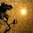 Monkey Tree