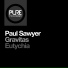 Paul Sawyer