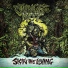 Jungle Rot