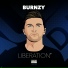 Burnzy