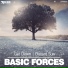 Basic Forces