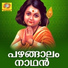 Vygaprasad