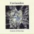 Coriandre