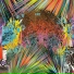 LSD