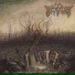 INSIGNIUM