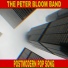 The Peter Bloom Band
