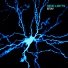 Neon Lights