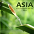 J.J. Asia