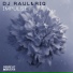 DJ Raul, Riq