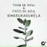 Thab De Soul, Fisto De Soul