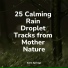 Zen Meditate, Sleepy Times, Avslappning Sound