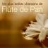 Flute de Pan