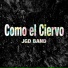 Jgd Band