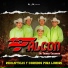 Falcon De Tierra Caliente