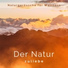 Natürlicher Geist