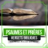 Les Psaumes Puissants