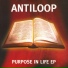 Antiloop