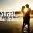 Shael (2014г)