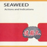 Seaweed