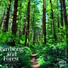 Nature Sound Band