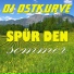 DJ Ostkurve