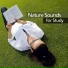 Studying Music