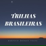 Marcelo Moraes Teles