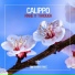 Calippo