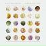Cold Collective