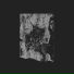 SHXCXCHCXSH