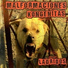 Malformaciones Kongenitas