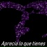 Rap90, Base De Rap