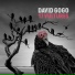 David Gogo