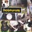 The Rattlehounds