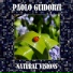 Paolo Guidorzi