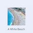 The Dixie cups