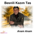 Besnili Kazım Taş