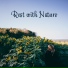 Rest & Relax Nature Sounds Artists