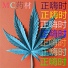 MrDeni