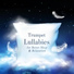 Heaven on Earth Instrumental Universe