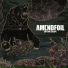 Amendfoil