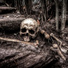 I Love Halloween, All Hallows' Eve, Scary Sounds