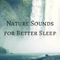 Soothing Music Experience