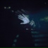 videoplayback