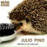Matias Oviedo, Julio Pino